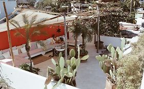 Petit Hotel Hafa